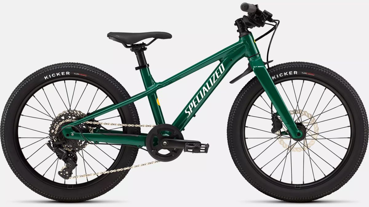 Bicicleta Niño (a) Specialized Riprock 20 Gloss Pine Green