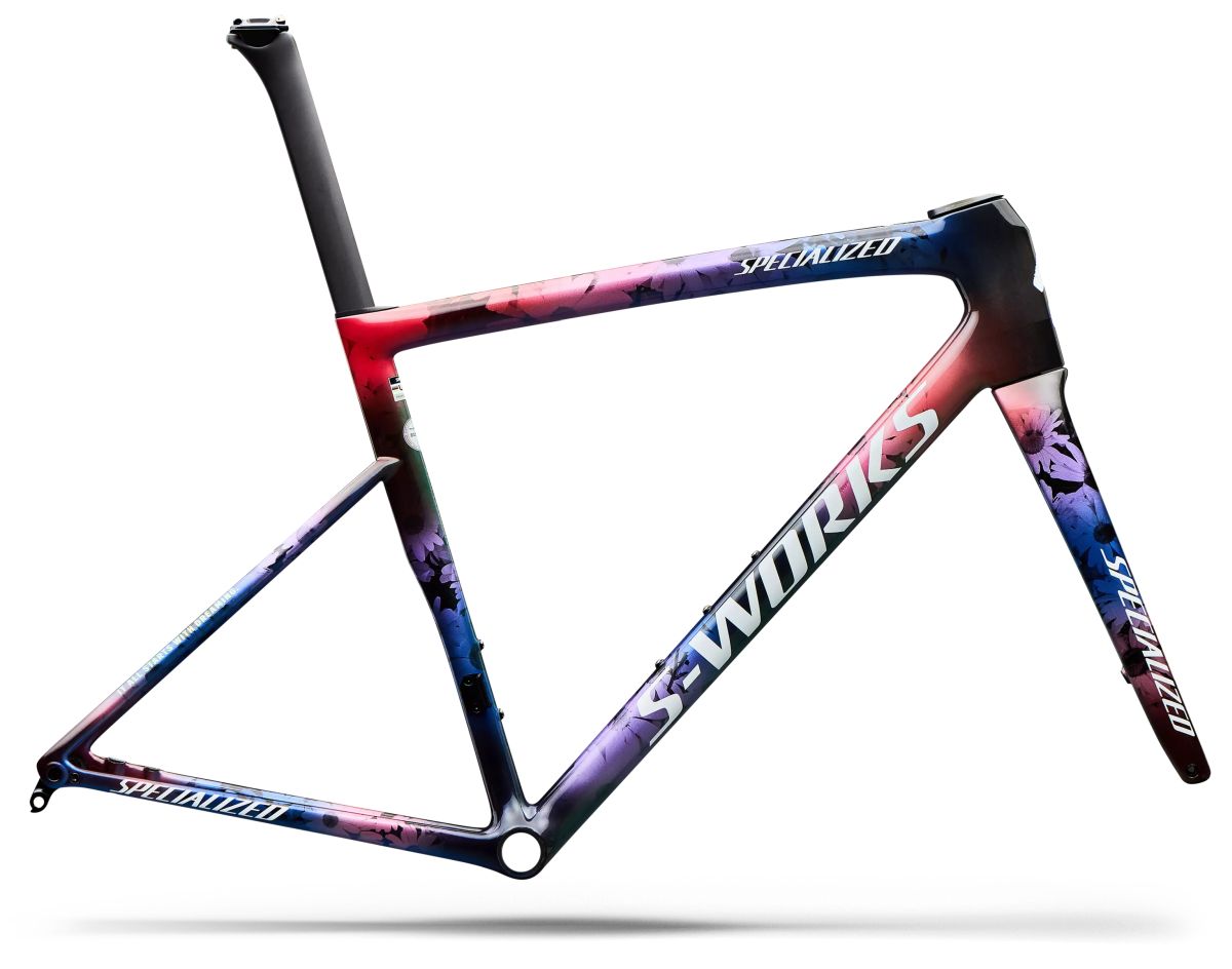 Marco Ruta Specialized SW Tarmac SL8 Frameset LTD Demi Drea