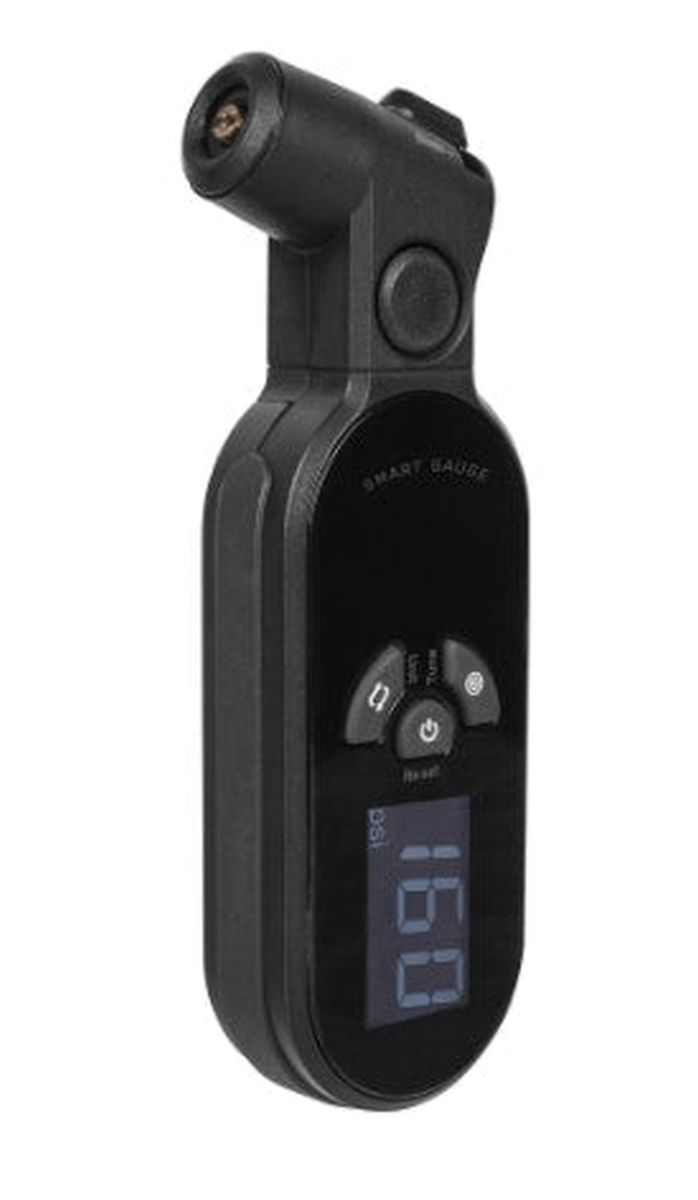 Manometro Topeak Digital Smartgauge D2X