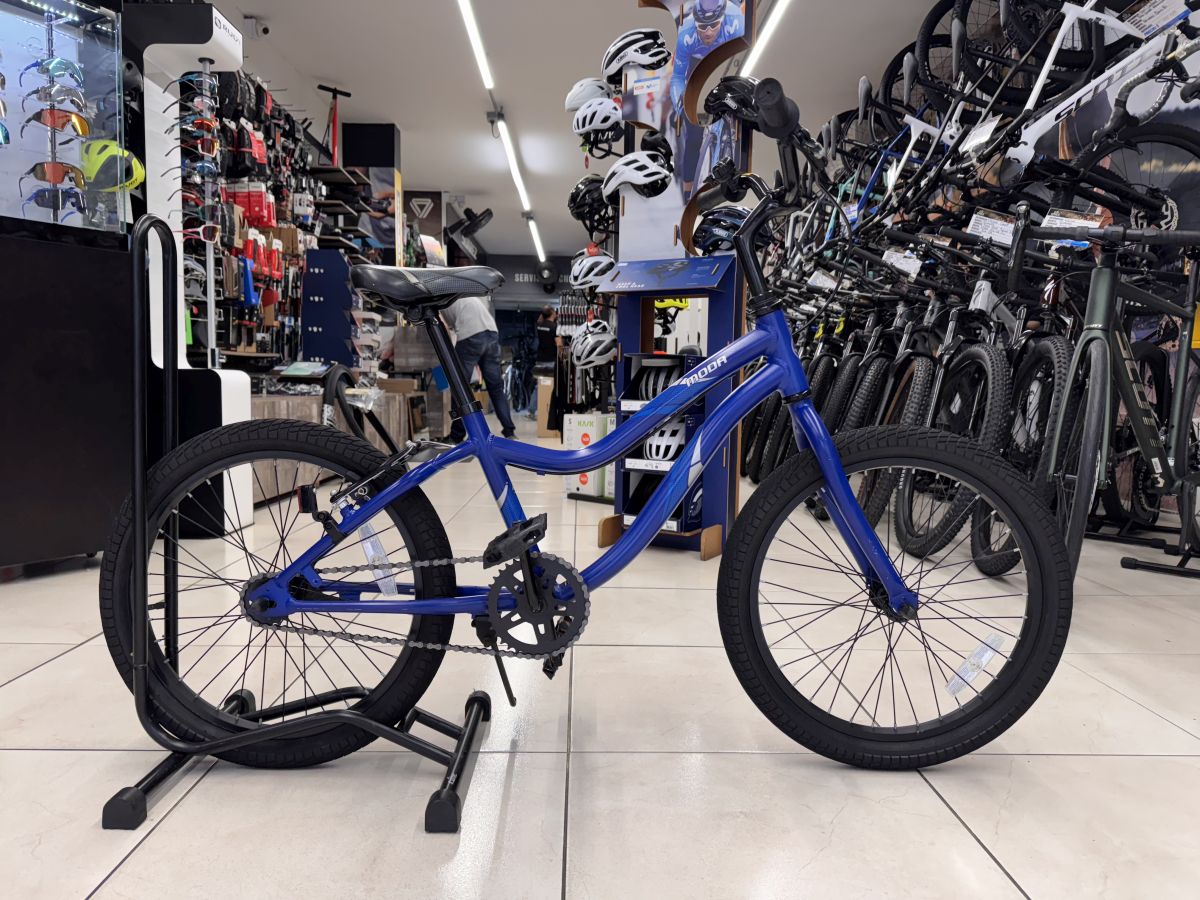Bicicleta Niños Giant Usada Rin 20 Azul